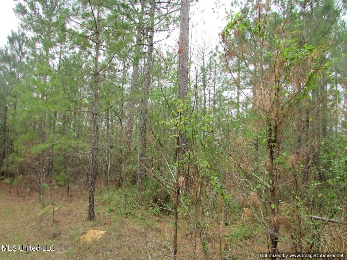 Lot 2 Permenter Road Canton, MS 39046 - Photo 17 of 17 IMG_0028