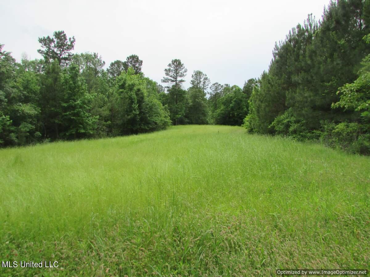 Lot 2 Permenter Road Canton, MS 39046 - Photo 2 of 17 IMG_0001