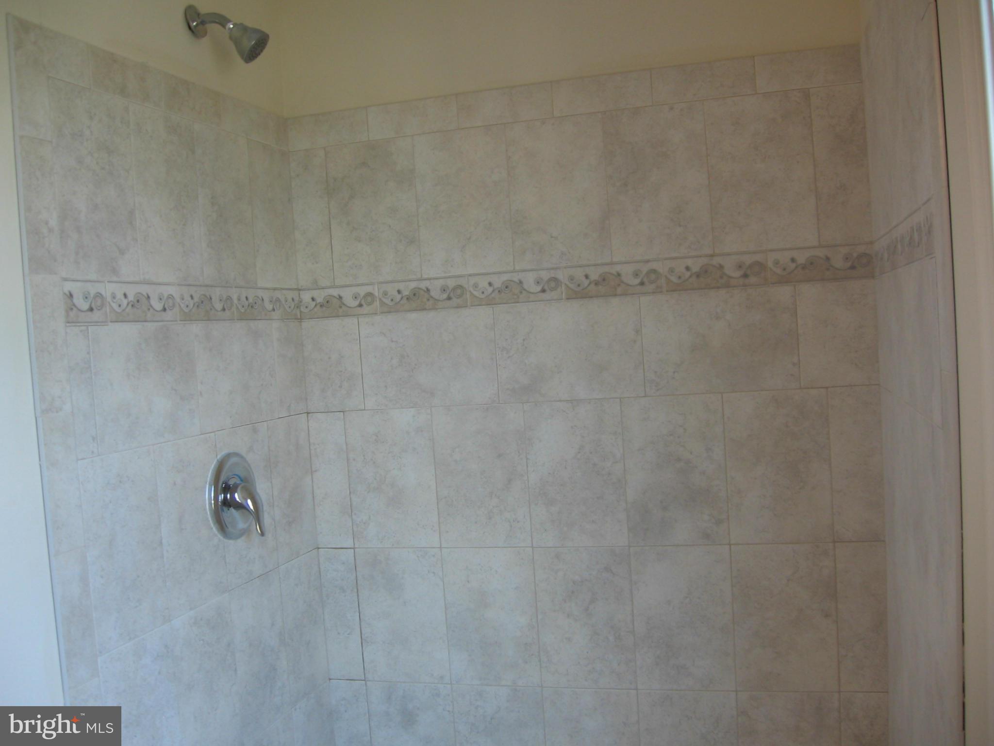 58 Gibson Road Inwood, WV 25428 - Photo 13 of 17 a close view of a shower in a bathroom