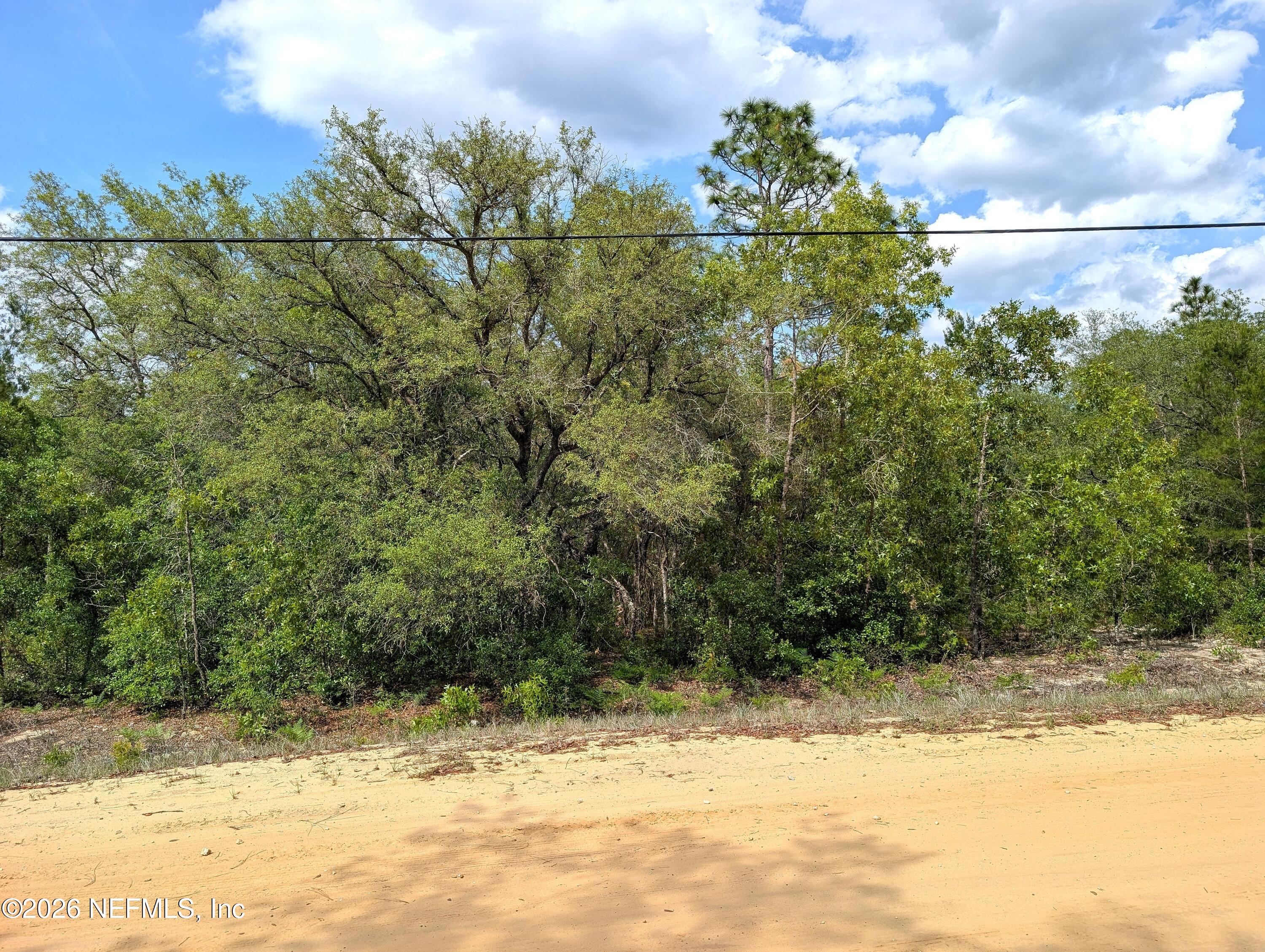 5750 Bitter Root Street Keystone Heights, FL 32656 - Photo 2 of 15 a view of a yard next to a building