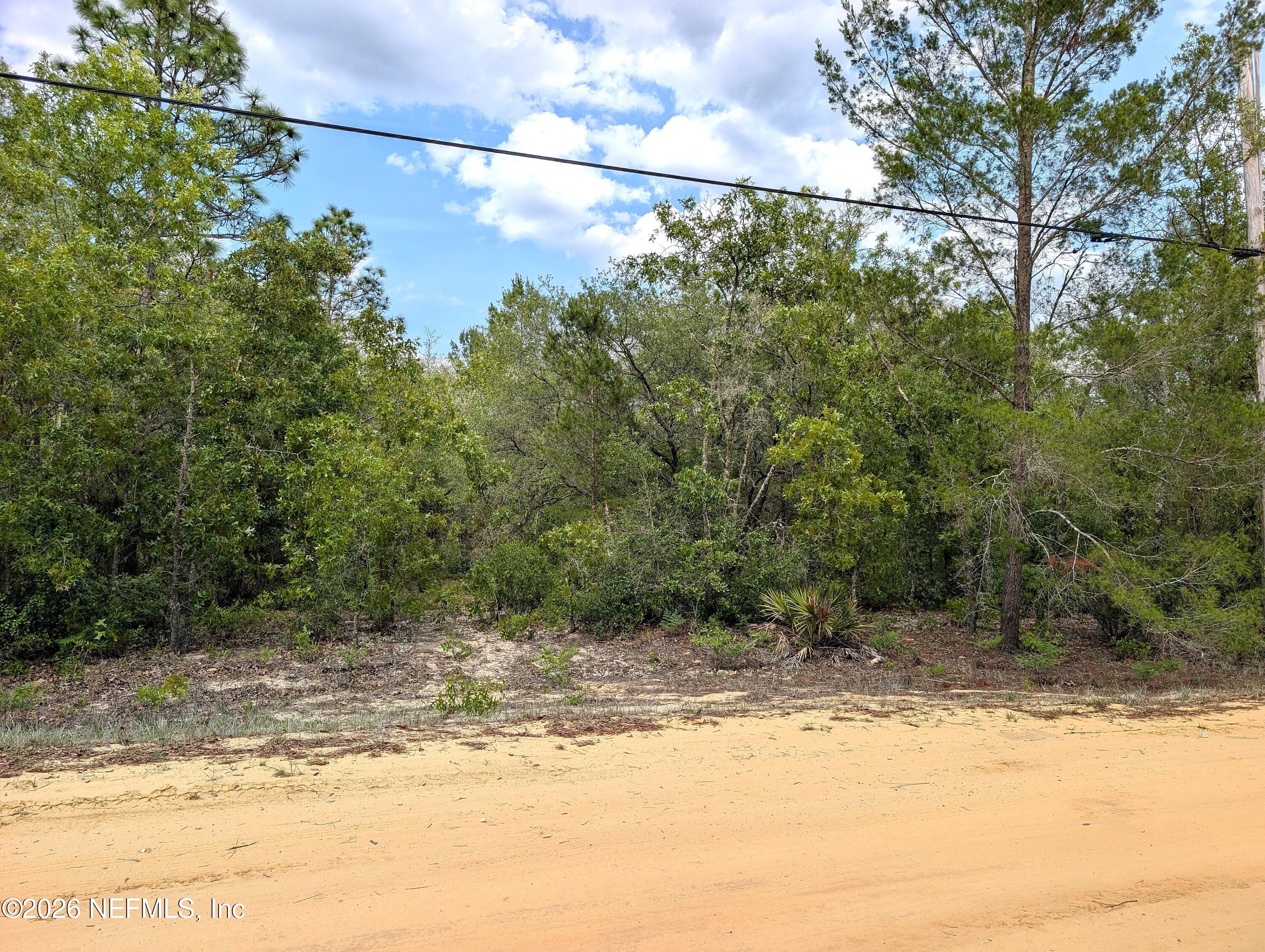 5750 Bitter Root Street Keystone Heights, FL 32656 - Photo 5 of 15 a view of a yard with a tree