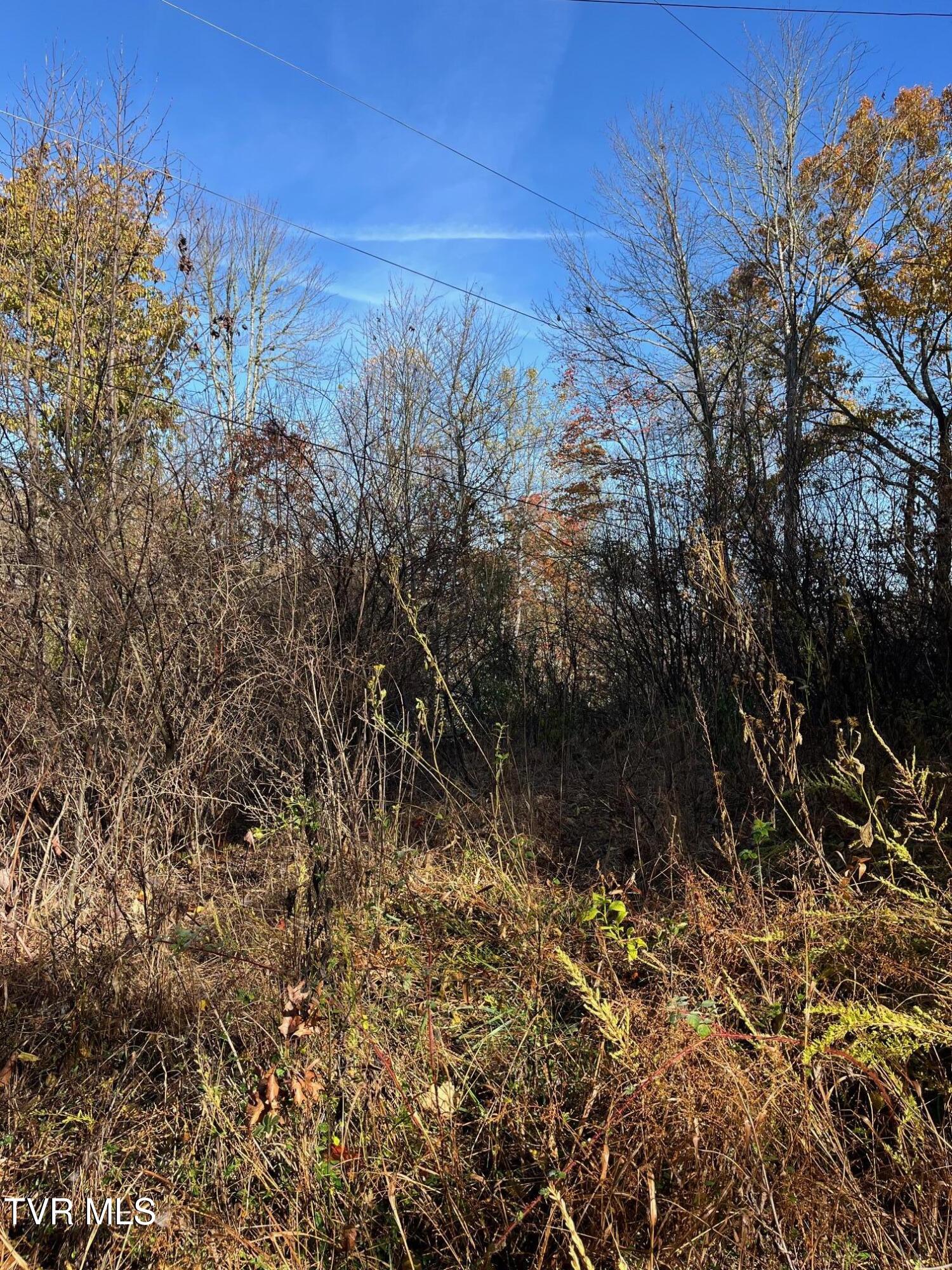 Tbd Big Ridge Road Haysi, VA 24256 - Photo 11 of 16 IMG_0858