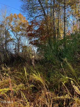 $25,000 | Tbd Big Ridge Road, Haysi, VA 24256