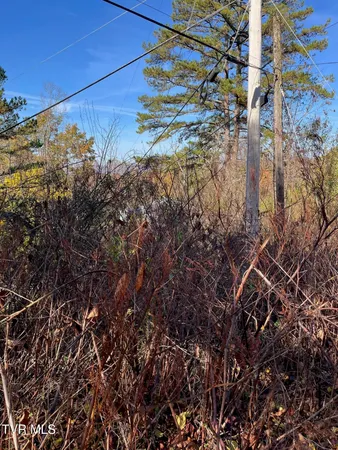$25,000 | Tbd Big Ridge Road, Haysi, VA 24256