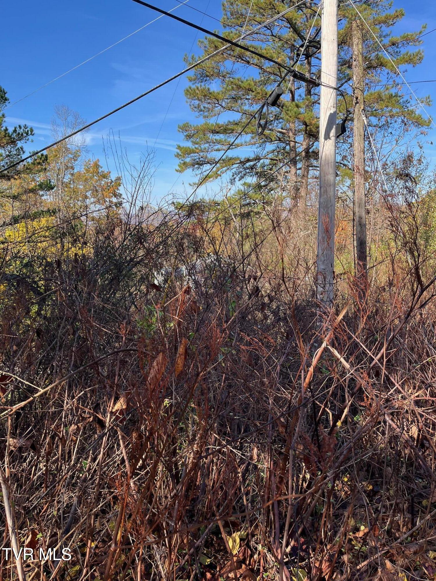 Tbd Big Ridge Road Haysi, VA 24256 - Photo 13 of 16 IMG_0860