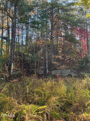 $25,000 | Tbd Big Ridge Road, Haysi, VA 24256