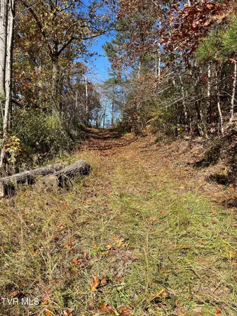 $25,000 | Tbd Big Ridge Road, Haysi, VA 24256
