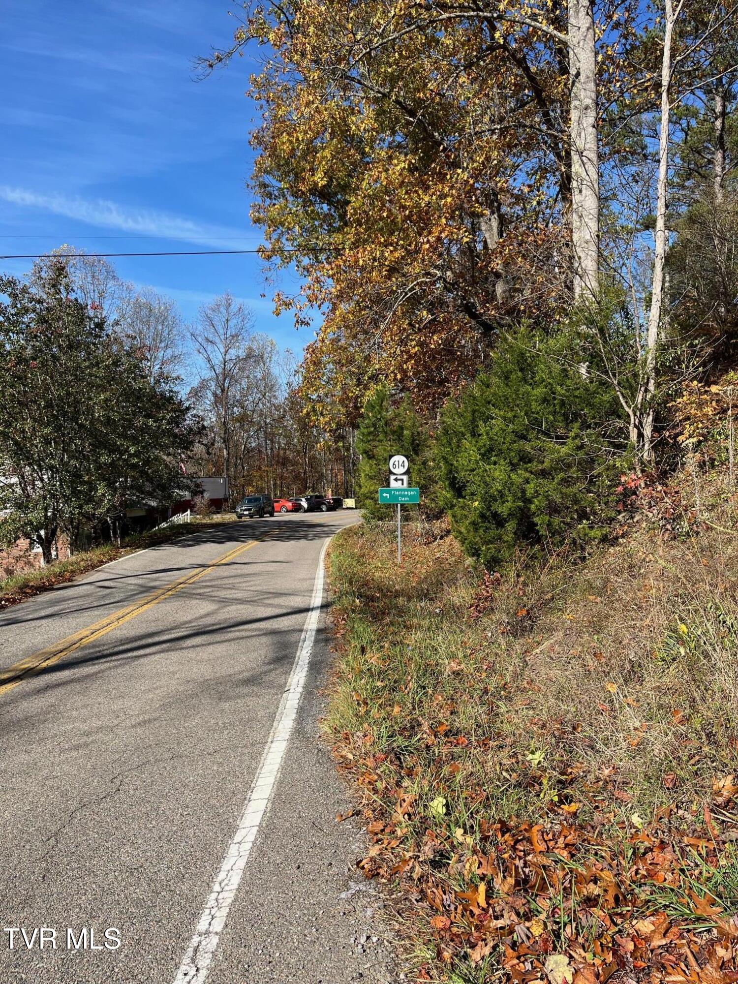 Tbd Big Ridge Road Haysi, VA 24256 - Photo 16 of 16 IMG_0863