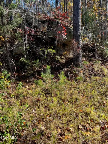 $25,000 | Tbd Big Ridge Road, Haysi, VA 24256