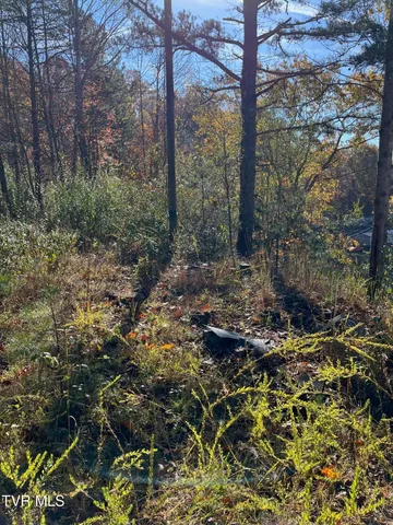 $25,000 | Tbd Big Ridge Road, Haysi, VA 24256