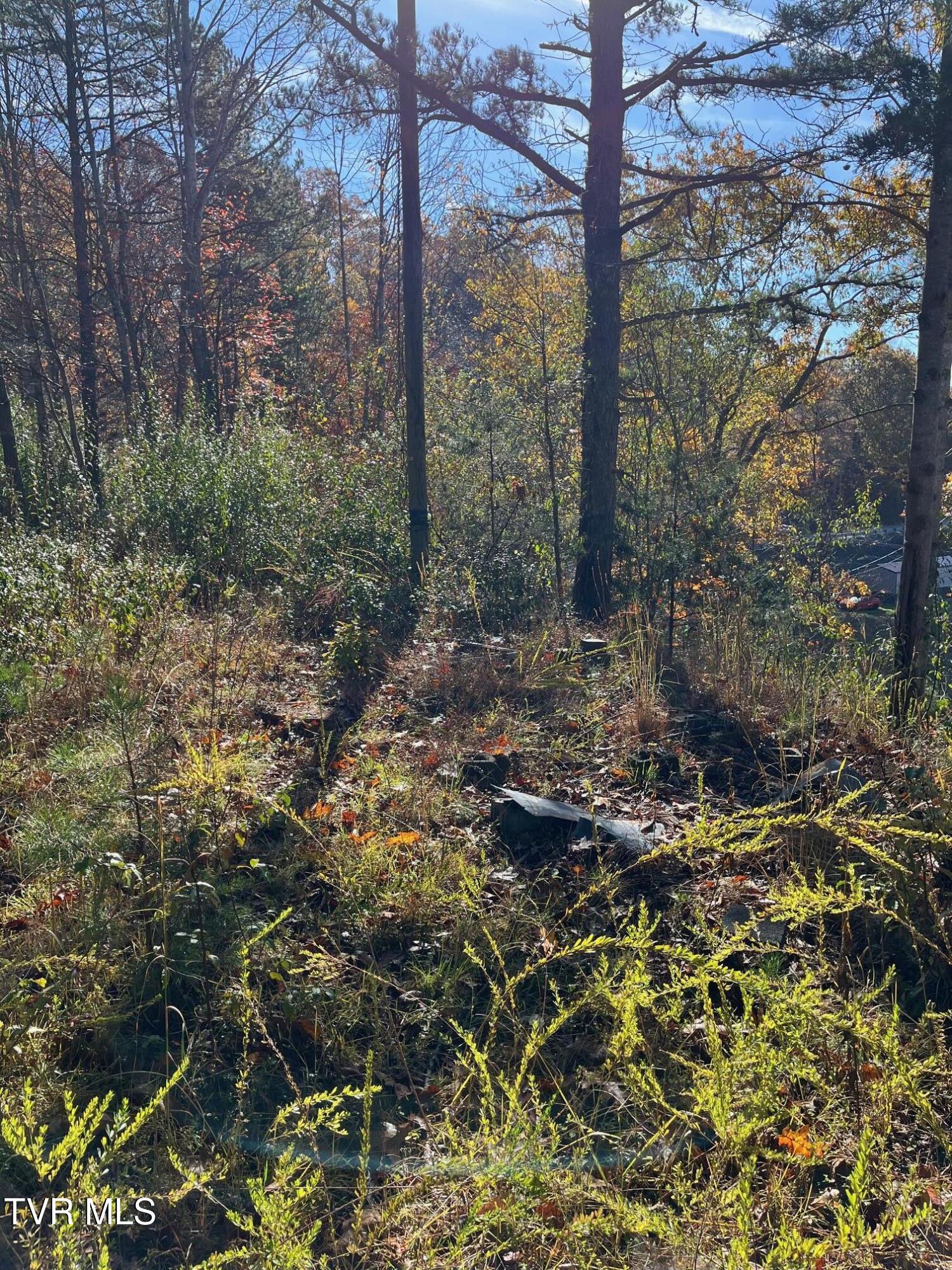 Tbd Big Ridge Road Haysi, VA 24256 - Photo 3 of 16 IMG_0844