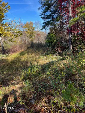 $25,000 | Tbd Big Ridge Road, Haysi, VA 24256