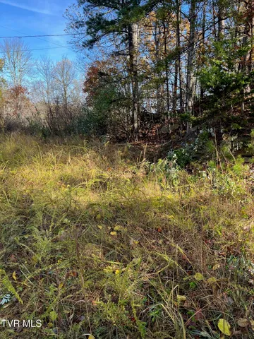 $25,000 | Tbd Big Ridge Road, Haysi, VA 24256