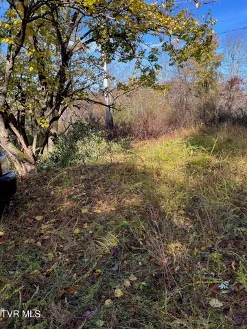 $25,000 | Tbd Big Ridge Road, Haysi, VA 24256