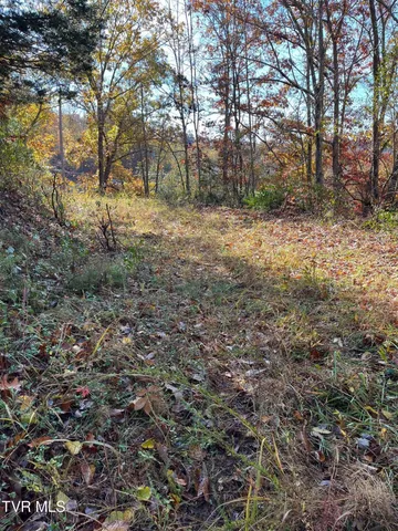 $25,000 | Tbd Big Ridge Road, Haysi, VA 24256
