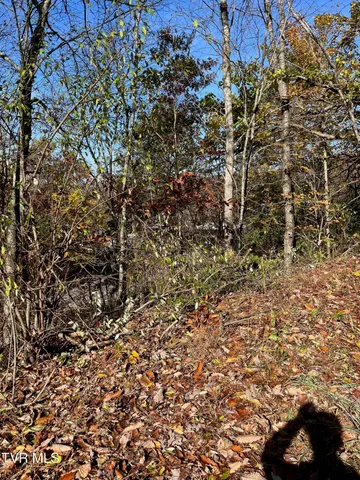 $25,000 | Tbd Big Ridge Road, Haysi, VA 24256