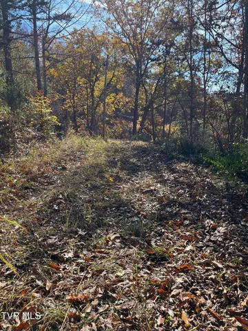 $25,000 | Tbd Big Ridge Road, Haysi, VA 24256