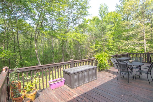 500 Mountain Shadows Road Hamilton, GA 31811 - Photo 22 of 30 private back yard