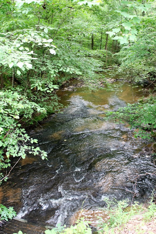 500 Mountain Shadows Road Hamilton, GA 31811 - Photo 29 of 30 creek