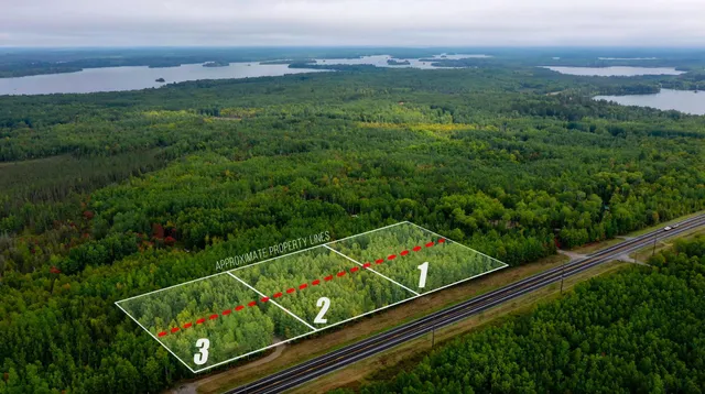 $23,900 | 115 Greenwood Twp Mn 55790, Tower, MN 55790