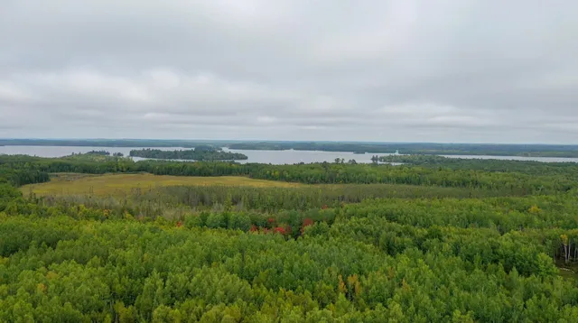 $23,900 | 115 Greenwood Twp Mn 55790, Tower, MN 55790