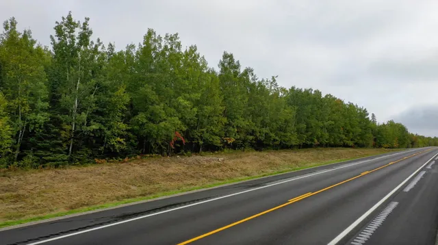 $23,900 | 115 Greenwood Twp Mn 55790, Tower, MN 55790