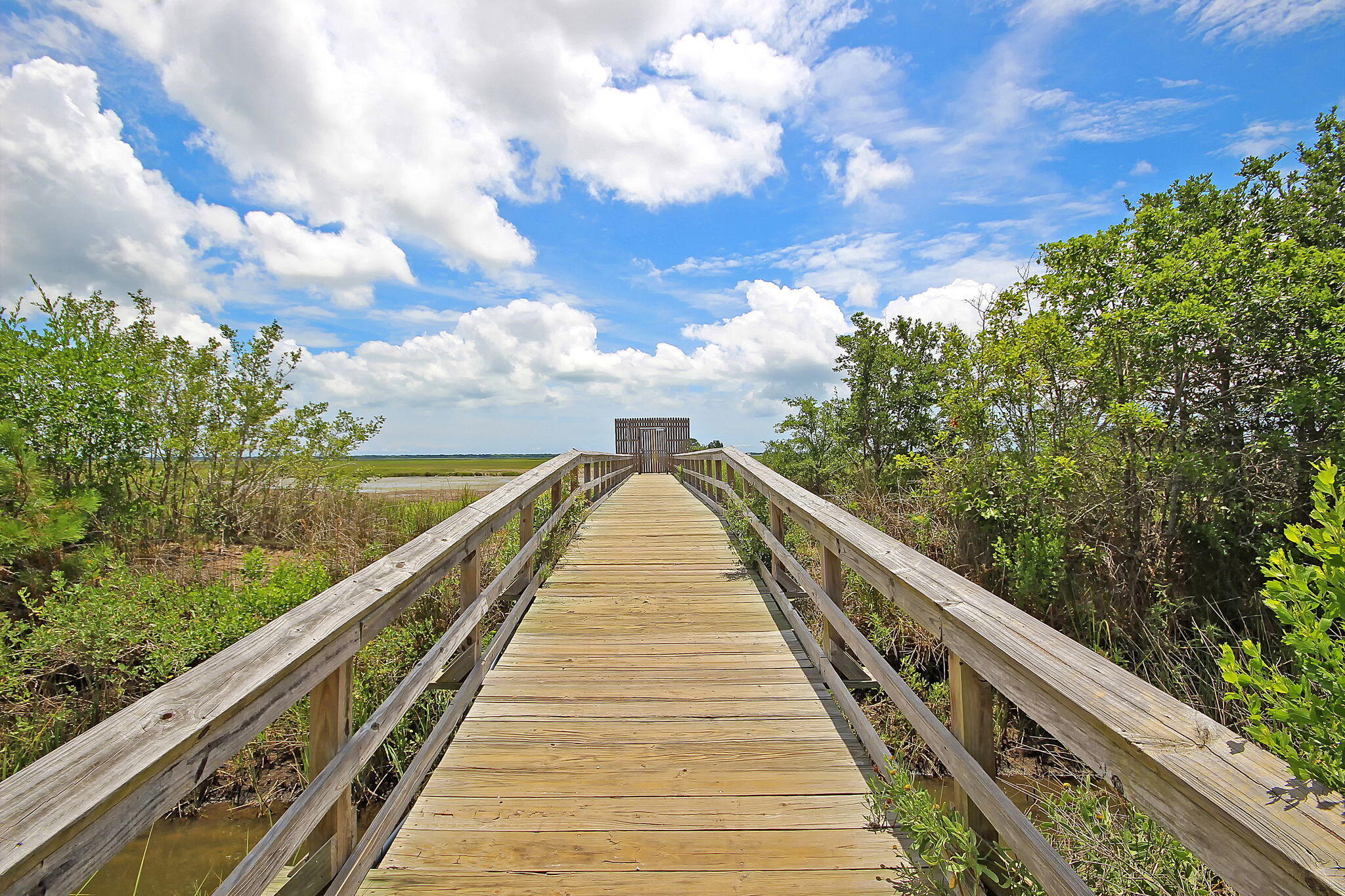 1561 Red Tide Road Mount Pleasant, SC 29466 - Photo 65 of 88 CREM_OysterPoint_008