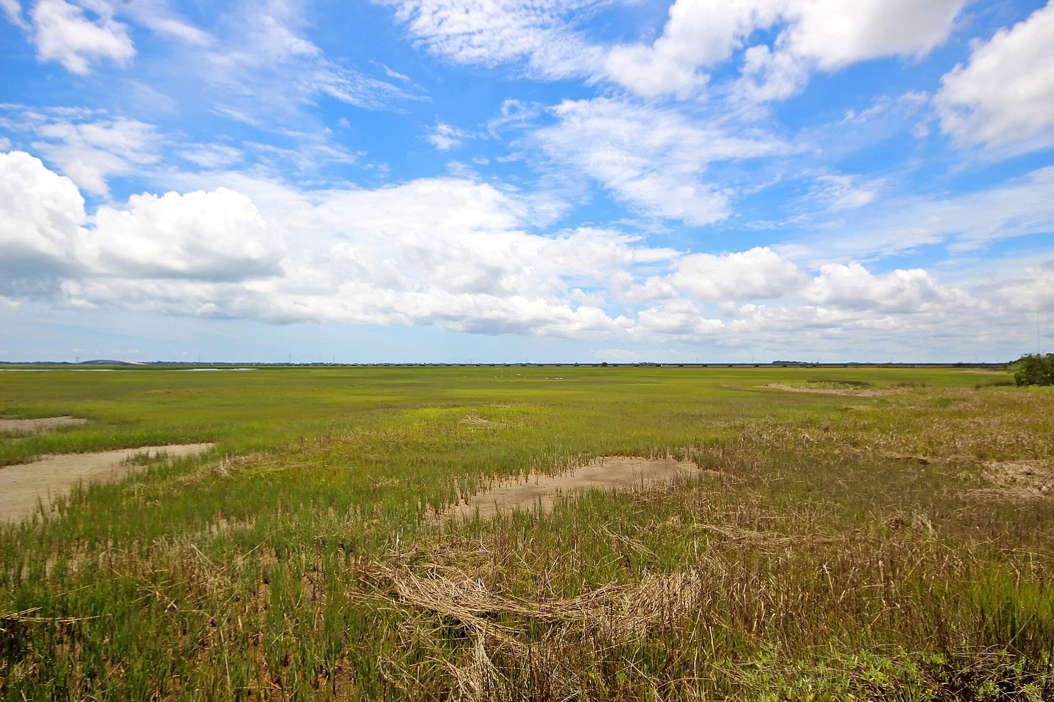 1561 Red Tide Road Mount Pleasant, SC 29466 - Photo 66 of 88 CREM_OysterPoint_009