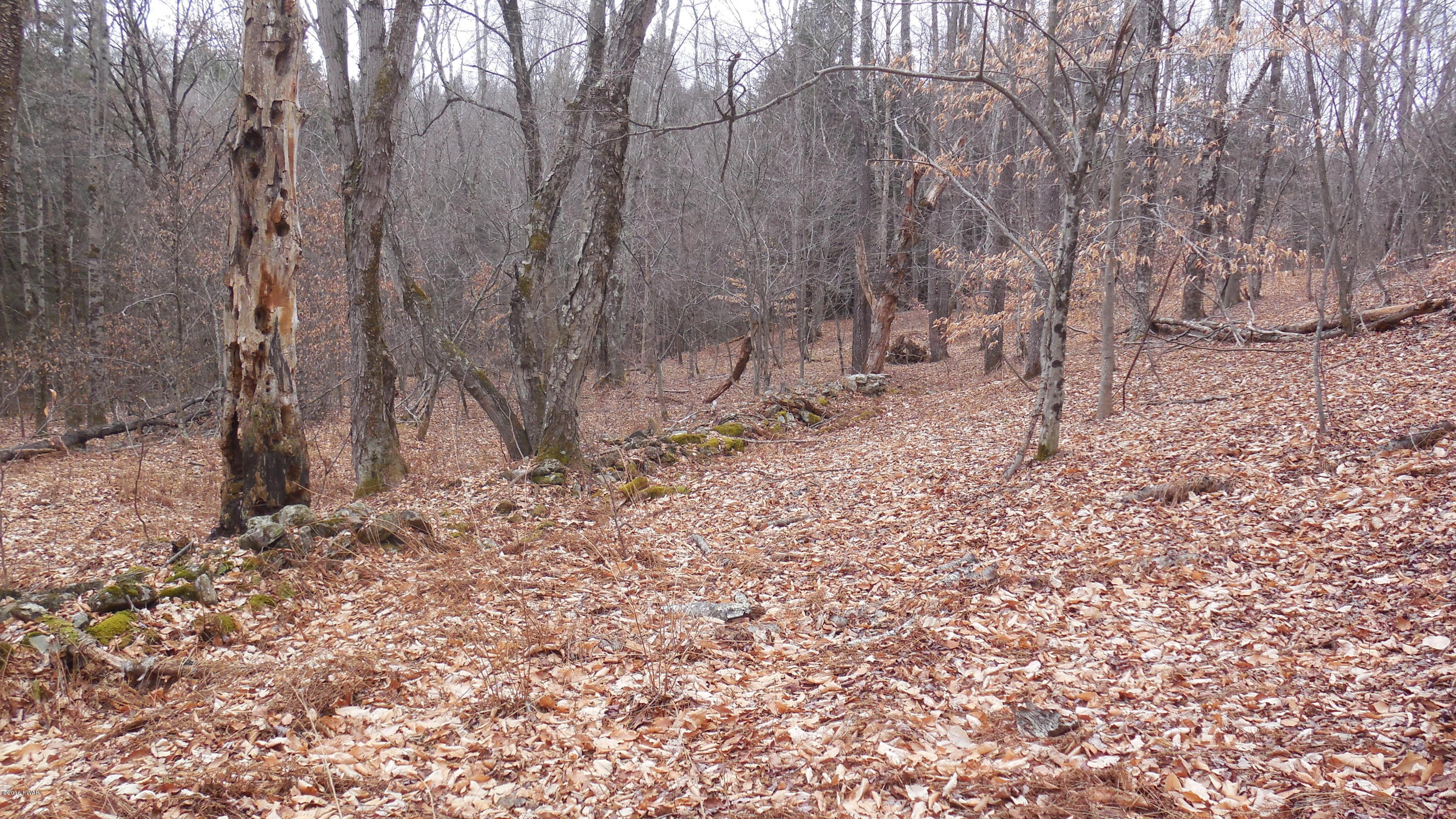 352 Hellmers Hill Road Equinunk, PA 18417 - Photo 27 of 34