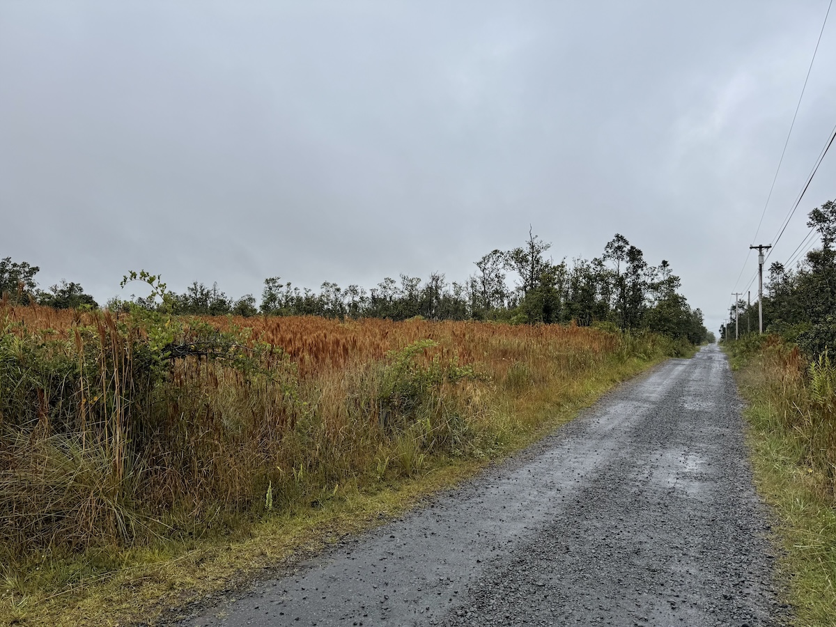 36 Ohialani Road Mountain View, HI 96771 - Photo 2 of 10