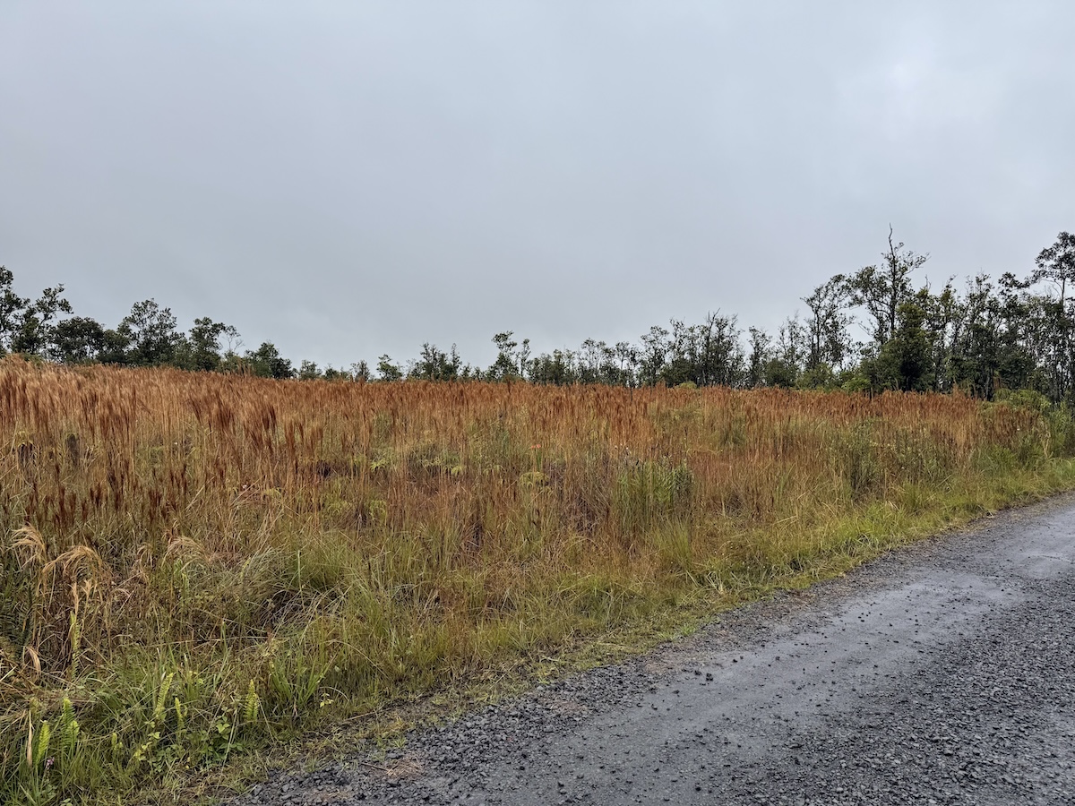 36 Ohialani Road Mountain View, HI 96771 - Photo 3 of 10