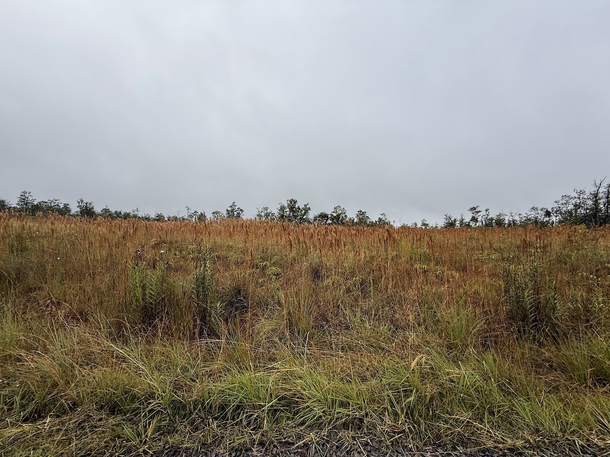 36 Ohialani Road Mountain View, HI 96771 - Photo 4 of 10