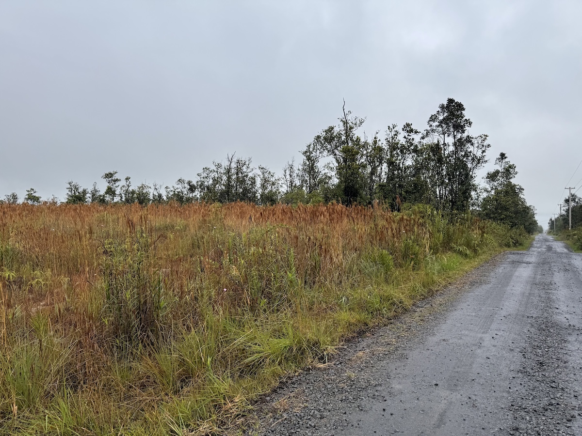 36 Ohialani Road Mountain View, HI 96771 - Photo 6 of 10