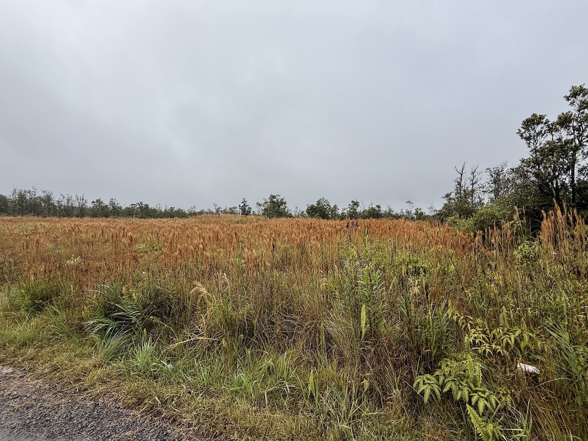 36 Ohialani Road Mountain View, HI 96771 - Photo 8 of 10