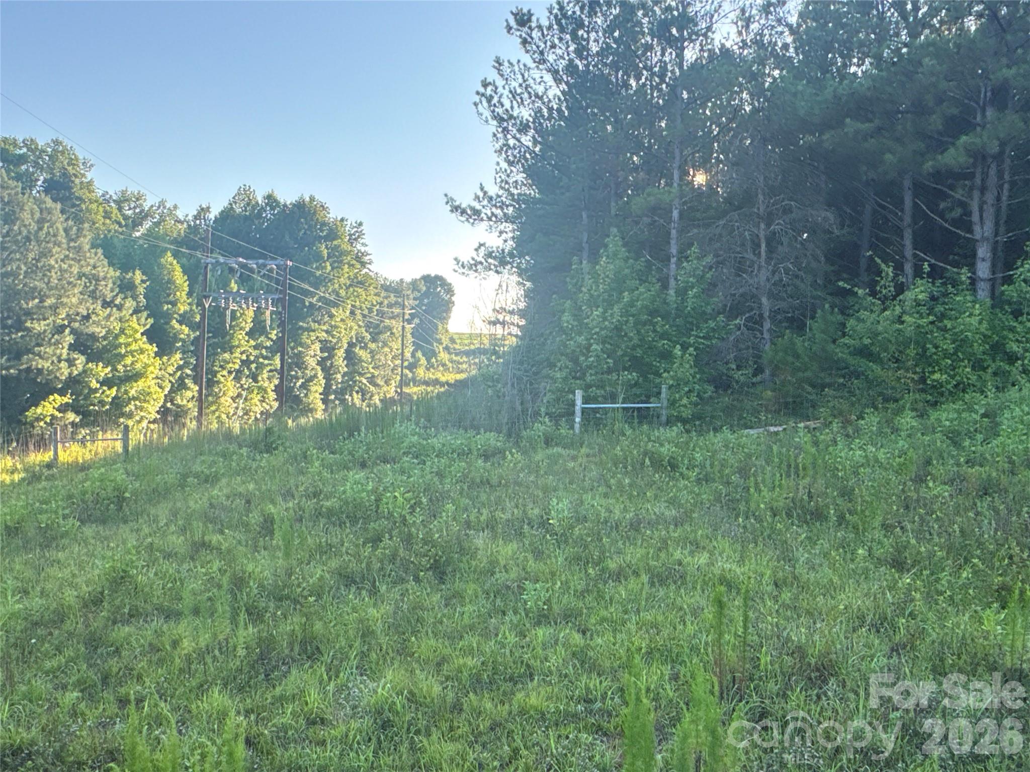 328 Sandy Run Church Road Mooresboro, NC 28114 - Photo 33 of 48