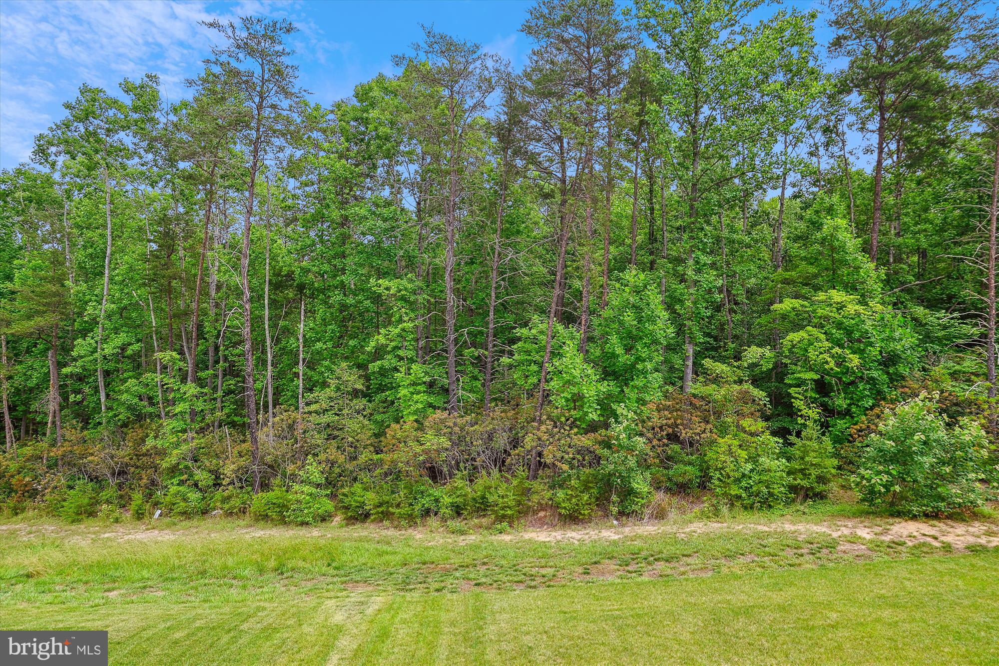 1279 Upper Patuxent Ridge Road Odenton, MD 21113 - Photo 69 of 107 HOME BACKS TO MATURE TREES W/ WOODED VIEWS