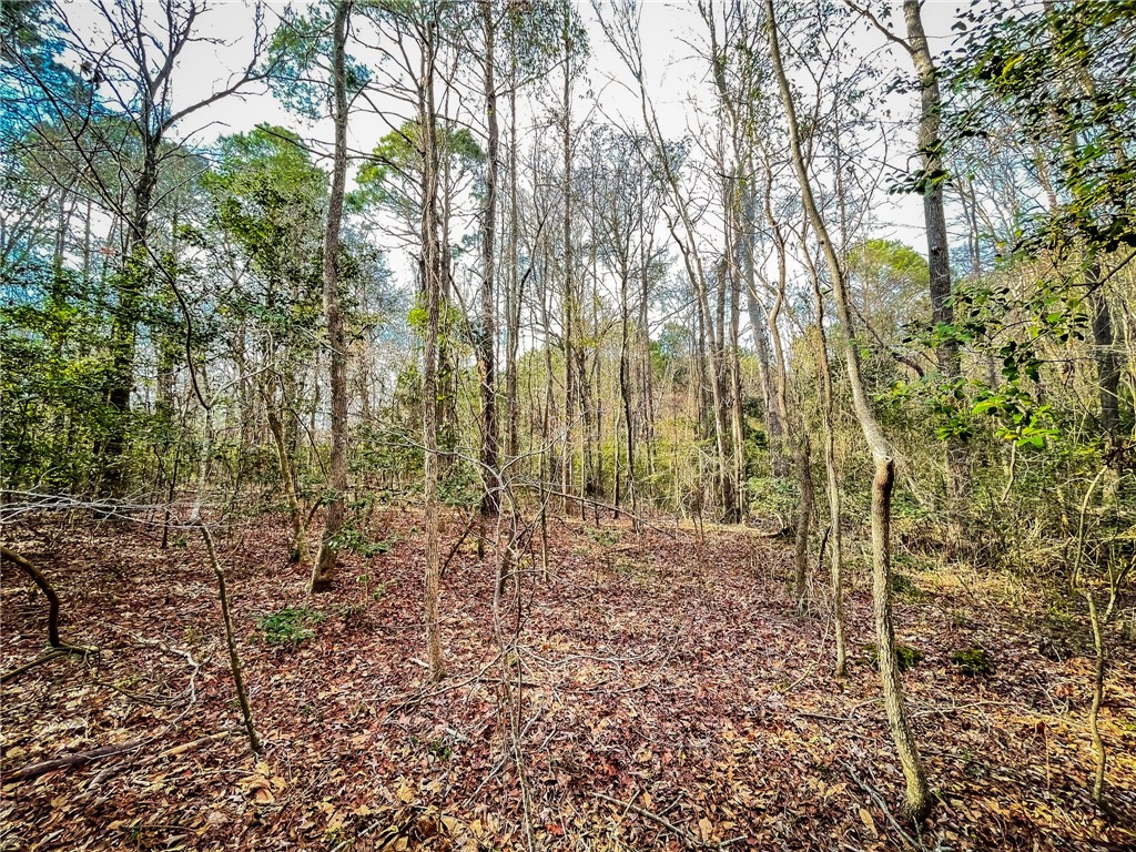 0 New Bridge Road McColl, SC 29570 - Photo 21 of 31 Gallery Image 21