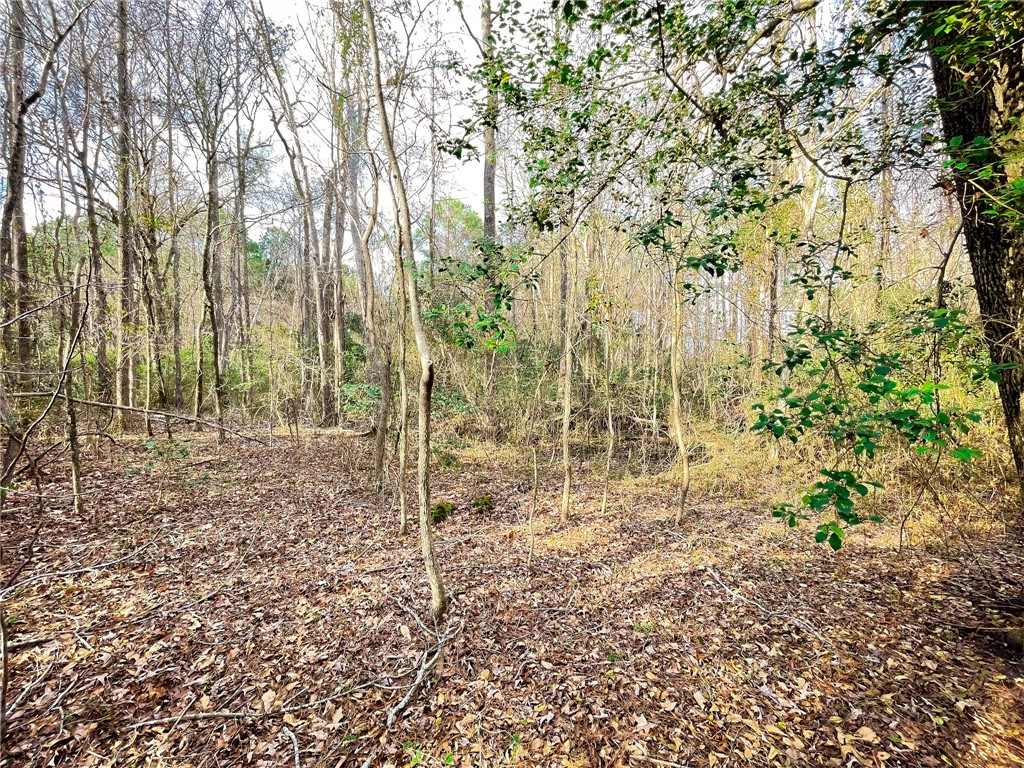 0 New Bridge Road McColl, SC 29570 - Photo 25 of 31 Gallery Image 25