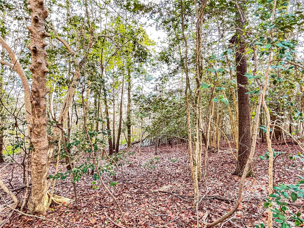 0 New Bridge Road McColl, SC 29570 - Photo 29 of 31 Gallery Image 29