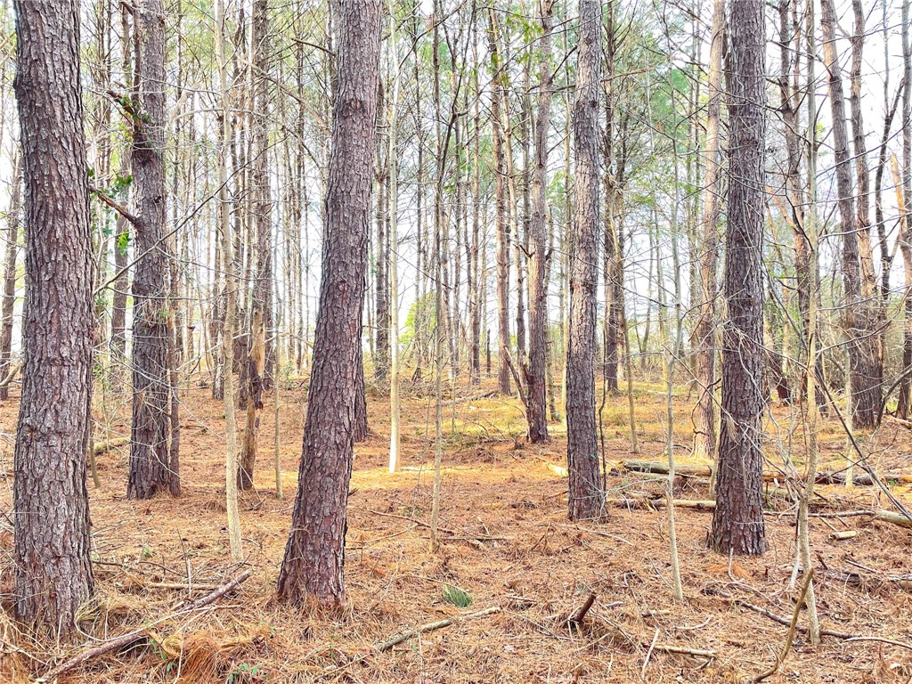 0 New Bridge Road McColl, SC 29570 - Photo 3 of 31 Gallery Image 3