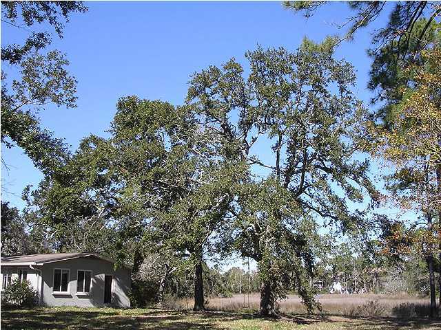 1842 Collinsworth Road Milton, FL 32583 - Photo 11 of 18 Gallery Image 11