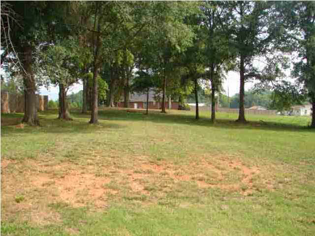 1191 Buckelew Bridge Road Anniston, AL 36207 - Photo 22 of 23