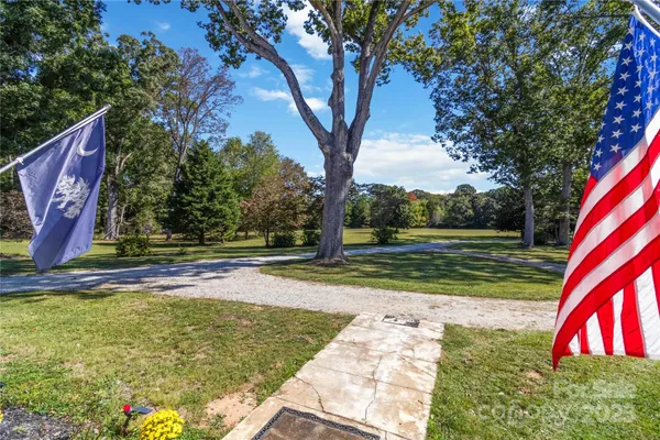 a view of backyard with large tree