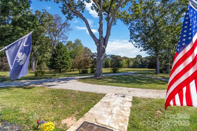 a view of backyard with large tree