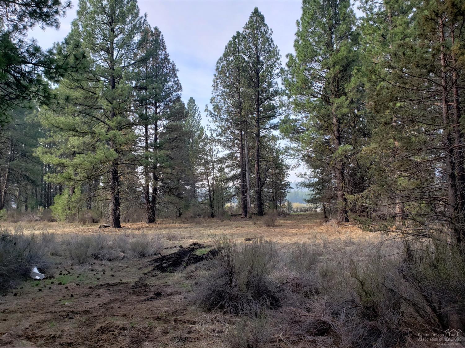 1900 Sprague River Road Chiloquin, OR 97624 - Photo 3 of 15 Additional Photo