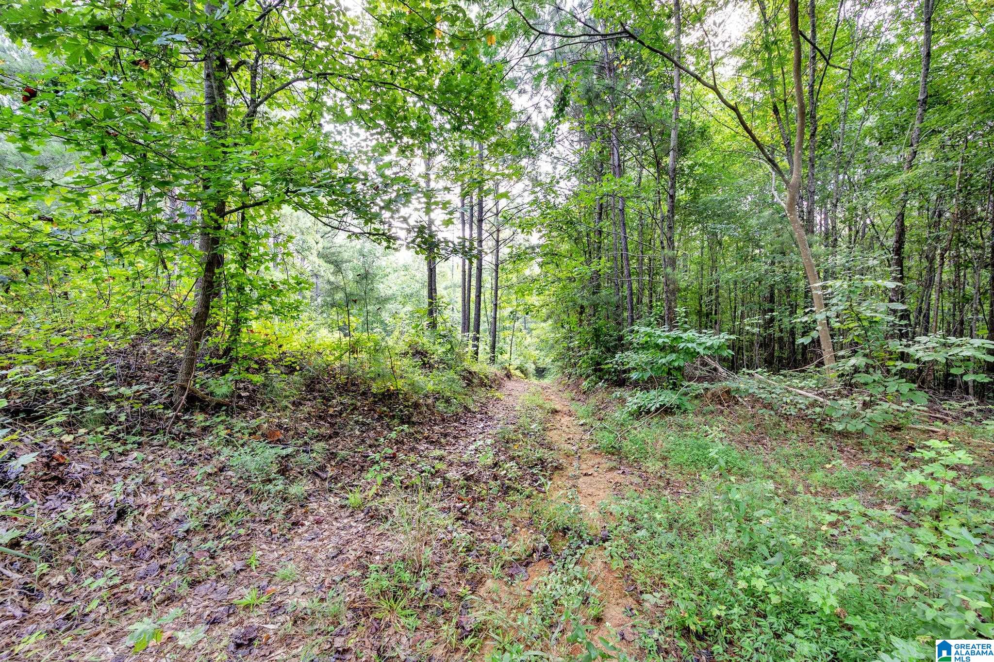 6971 Chambers Lane, Unit 1 Dora, AL 35062 - Photo 11 of 21