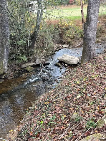 a lake view with a trees