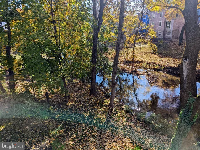 a view of a lake with a tree