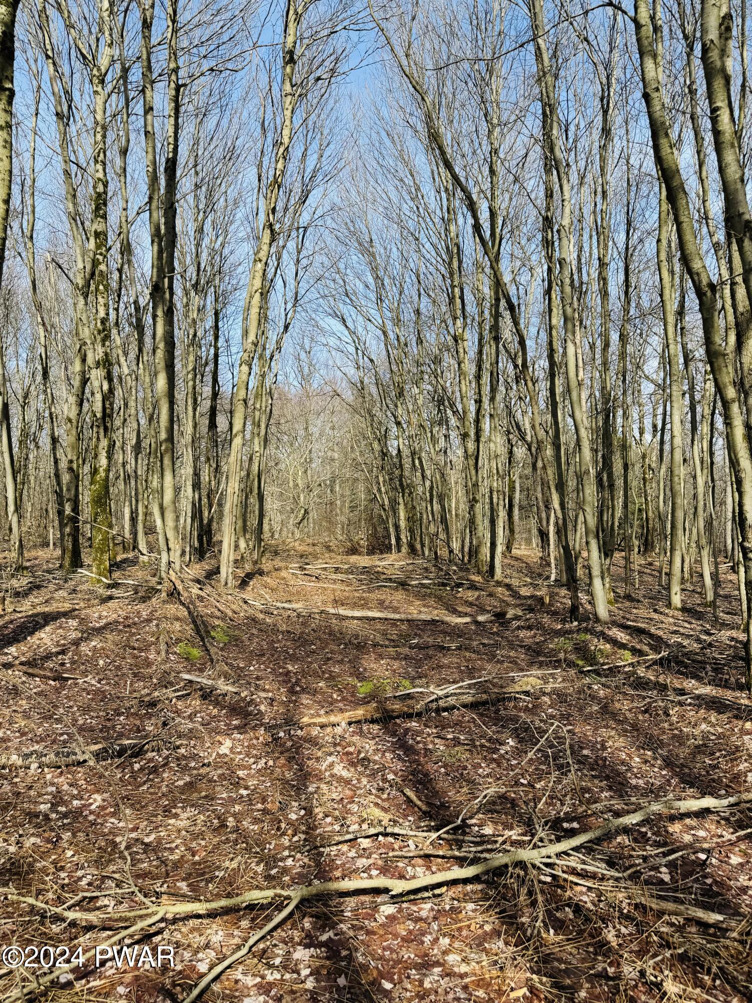 Lot 3 Clark Road Thompson, PA 18465 - Photo 5 of 11