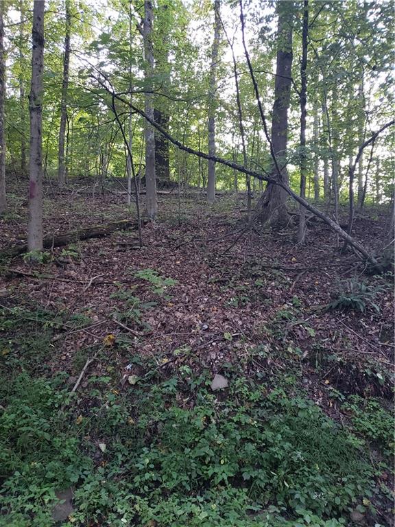 0 Jamison Road Indiana, PA 15701 - Photo 1 of 6